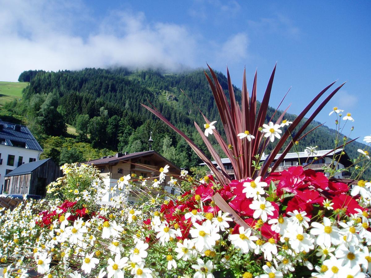 Am Zwoelferkogel Appartements Saalbach-Hinterglemm Zewnętrze zdjęcie