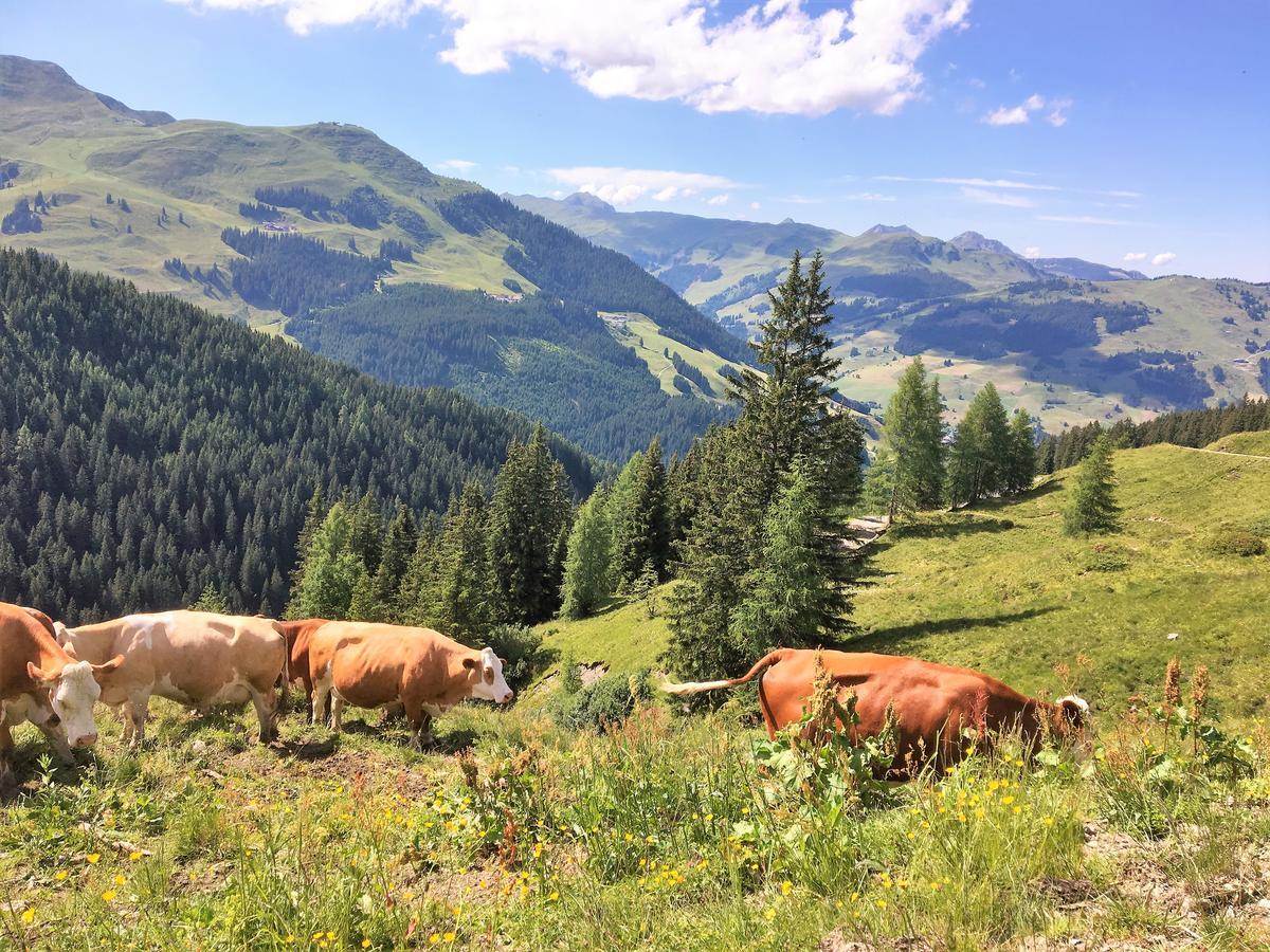 Am Zwoelferkogel Appartements Saalbach-Hinterglemm Zewnętrze zdjęcie