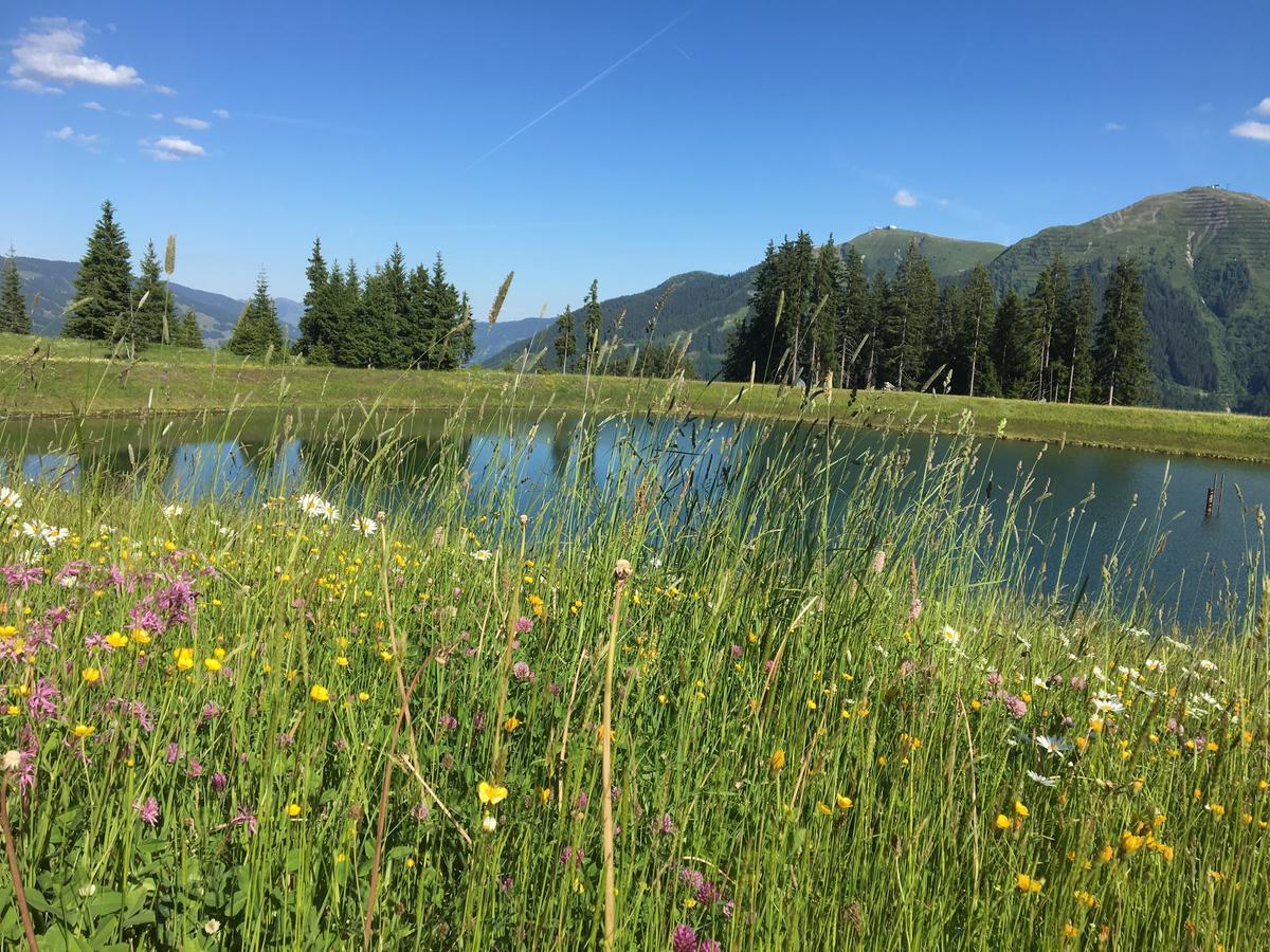 Am Zwolferkogel Appartements Saalbach-Hinterglemm Zewnętrze zdjęcie